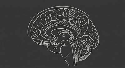 Dunbar’s Number: The Physics of Trust